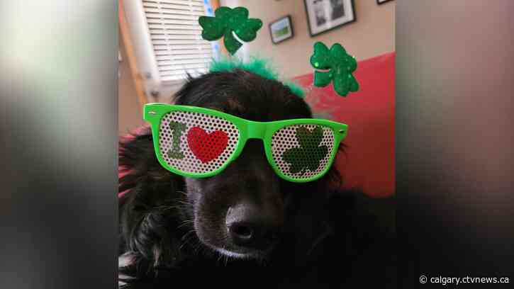 UPDATE: Double-digit highs ahead for Calgary, save for a snowy Sunday