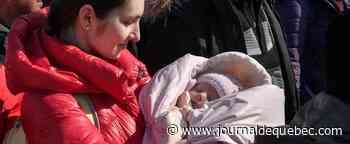 Ukraine: 19 bébés de mères porteuses coincés