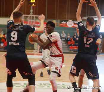 Basket-ball/Nationale 1 M : Dax-Gamarde doit continuer d’engranger - Sud Ouest