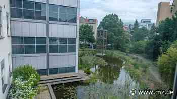 Zeitschenker für Hospizarbeit in Wittenberg gesucht - Mitteldeutsche Zeitung