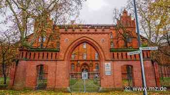 Wittenberg: Digital Native ringt mit dem Rathaus - Mitteldeutsche Zeitung