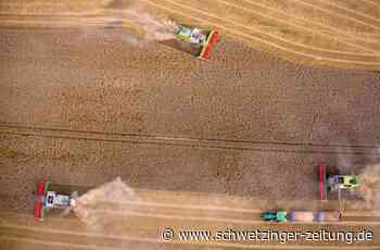 Hamsterkäufe sorgen für Engpässe in Mannheim und der Region - Wirtschaft - Schwetzinger Zeitung