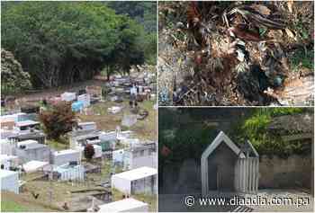 Realizan brujería y profanan tumbas en el cementerio de Buena Vista Colón - Día a Día