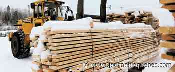 «C'est un peu ridicule»: le prix du bois explose encore