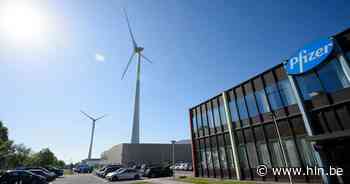 Pfizer Puurs zoekt nog eens 80 nieuwe medewerkers: “Kwaliteitsafdeling waakt over alle vaccins en geneesmiddelen” - Het Laatste Nieuws