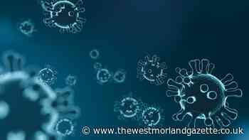 Latest coronavirus cases in South Lakeland revealed | The Westmorland Gazette - The Westmorland Gazette