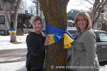 Trees get blue and yellow treatment to support Ukraine – Red Deer Advocate - Red Deer Advocate