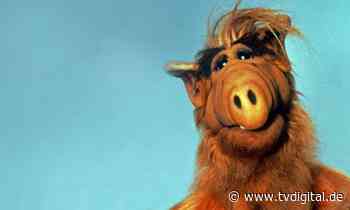Null problemo: ALLE "Alf"-Folgen bald im Stream - TV Digital