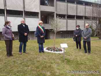 Castellanza ha ricordato le 56 vittime della pandemia - Prima Saronno