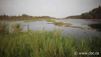 First Nation suing Alberta and Ottawa could qualify to have legal fees paid in advance, top court rules - CBC.ca