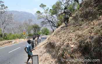 Officials discuss measures to prevent forest fires in the Nilgiris - The Hindu