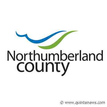 Northumberland adopts Forest Management Plan - Quinte News