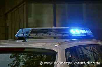 Diebstahl in Leonberg - Roter Roller am Leo-Center gestohlen - Leonberger Kreiszeitung