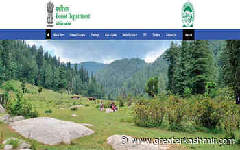 Poor record keeping in Forest Department - Greater Kashmir