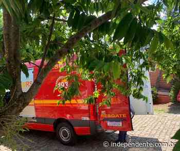 Bombeiros resgatam homem que caiu da escada, em Lajeado - Mídia Independente