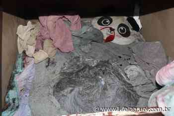 Criança desaparecida desde 2019 é encontrada em esconderijo embaixo de escada nos EUA - UOL