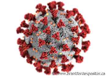 COVID-19 hospitalizations stable in Brantford-Brant - Brantford Expositor