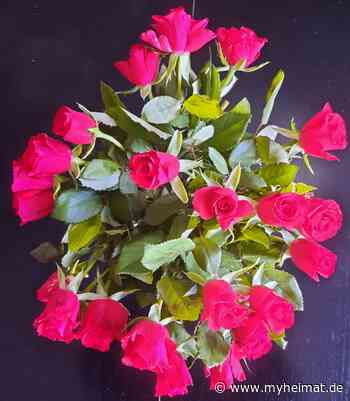 Wieder beim „Vertriebenentreffen“ - Gotha - myheimat.de