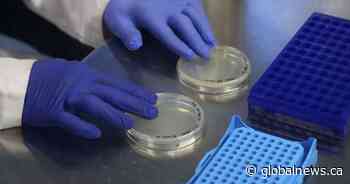 4 more COVID-19 deaths confirmed in Alberta but hospitalization numbers continue decline