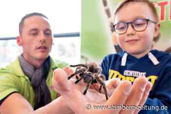 Auf Tuchfühlung mit Spinnen und Insekten in der Stadthalle Waltrop - Stimberg Zeitung