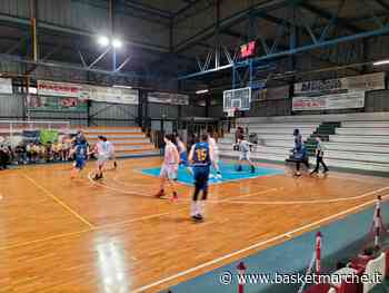 Il Basket Fermo passa sul campo della Vigor Matelica - Serie D Regionale Girone B - Basketmarche.it