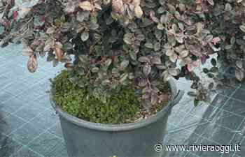 TedX Fermo, in partenza la nuova edizione - Riviera Oggi