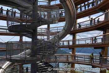 Vancouver Island's Malahat Skywalk wins prestigious tourism innovation award – Comox Valley Record - Comox Valley Record