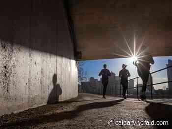 COVID-19 Update: 502 new cases, four deaths | Court injunction aimed at protests | Canada shows bump in cases - Calgary Herald