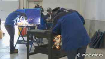 Calgary camp gives high school girls opportunity to explore skilled trades - CBC.ca