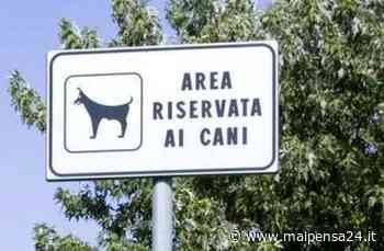 «Vogliamo un'area cani a Samarate». La proposta del Movimento Cinque Stelle - MALPENSA24 - malpensa24.it