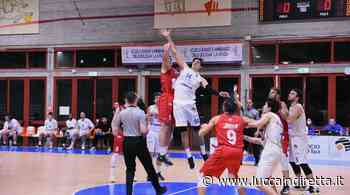 Bc Lucca, mille incognite sull'incontro con il Prato 2000 al Palatagliate - Luccaindiretta - LuccaInDiretta