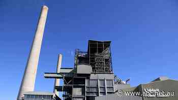 Energy analysts back plans to replace ageing Hunter Valley coal-fired power station with huge battery