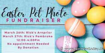 Pet Photo opportunities return in time for Easter - renfrewtoday.ca