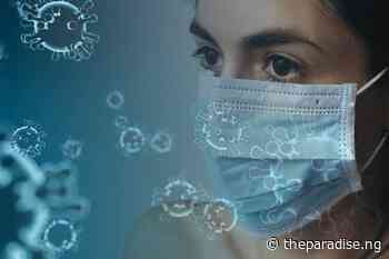 How Coronavirus Triggers Immune Response in Brain | The Paradise News - The Paradise News