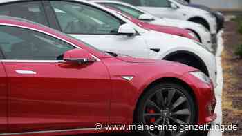 Tesla: Fuhrparkverband übt scharfe Kritik – „eine Katastrophe“