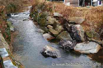 Baumängel werden beseitigt - Kandern - Badische Zeitung