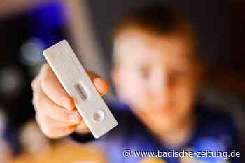 Staatsanwalt weist Anzeige gegen Kita ab - Kandern - Badische Zeitung