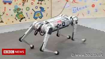 Robot cheetah learns to run by itself and other tech news