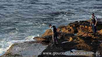 More SMART drum lines in NSW shark package - Gloucester Advocate