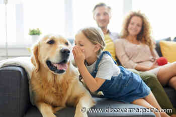 How Many Words Can Dogs Learn?