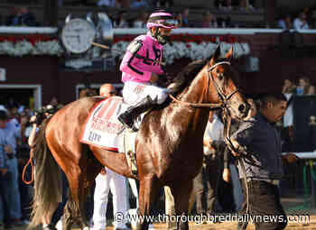 Gormley's High Oak Fells Favorites in Special - Thoroughbred Daily News