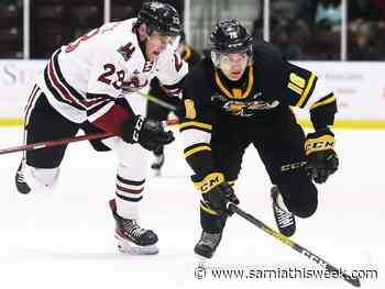 Sting lose heartbreaker on Storm's last-minute goal - Sarnia and Lambton County This Week