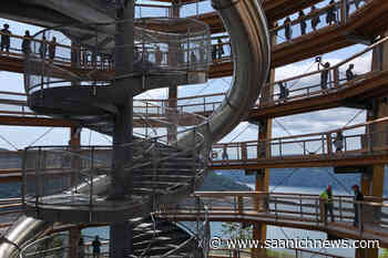 Vancouver Island's Malahat Skywalk wins prestigious tourism innovation award – Saanich News - Saanich News