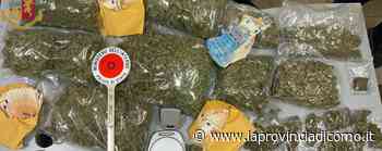 Cinque chili di marijuana nella doccia Uomo di Erba arrestato a 64 anni - La Provincia di Como