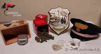 Nascondeva 'erba' in azienda: arrestato nel Catanese - Nuovo Sud