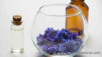 FMCG makers tap the next big thing in beauty care — onions - Moneycontrol