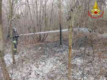 Incendio a Limbiate (dopo Solaro e Paderno): ancora sterpaglie in fiamme - Il Notiziario
