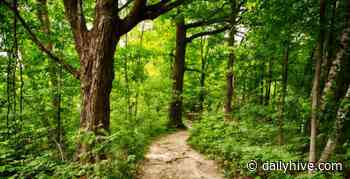 Canada's most popular hiking trail is located in Ontario | Curated - Daily Hive