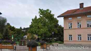 Wird am Dorfplatz Feldkirchen gebaut oder geklagt?  Anwälte raten vom Projekt ab