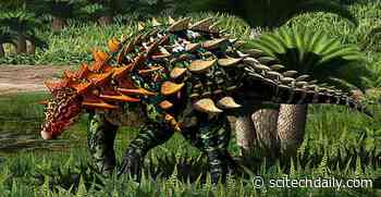 New Species of Armored Dinosaur Unearthed in China
